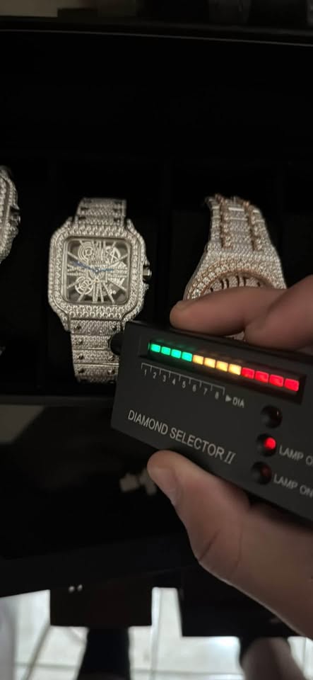 Catier Skeleton Moissanite Iced Out Watch